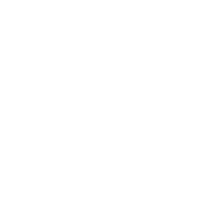 Danni-White-Box-232x232-meet-the-team